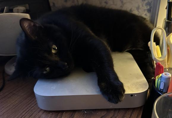 A small black cat lazes across a Mac Mini computer, with one arm draped lovingly across it.  She looks sleepy and satisfied that she got the computer seat this time.  The silver flat computer is on a wood-grained desk in front of a wall with blue and white sponge painting. To the left in the picture is a small beige computer speaker; to the right are pens and scissors and such in mugs. It looks somewhat cozy for a working space.
