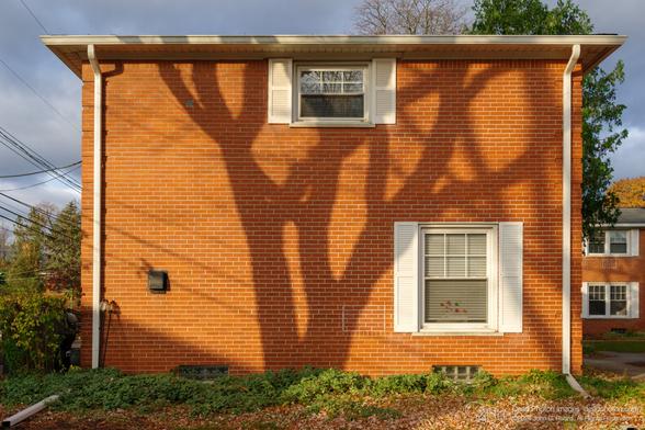 A photograph of an orange brick wall, upon which the shadow of thick tree branches appears. The wall has a window with white shutters at the top center, just beneath the eaves, and another at the lower right. Two white downspouts descend at both ends of the wall, and a grey cloudy sky appears beyond. There are multiple cables and wires at the left edge of the frame, and their shadows are on the wall as well.