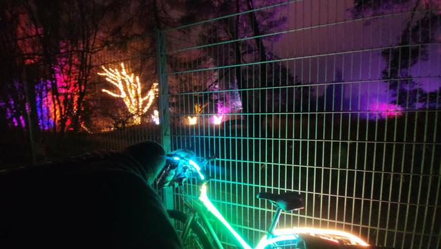 Es ist dunkel. Blick auf den botanischen Garten in flottbek durch den Zaun. Am Zaun steht ein Fahrrad mit bunt leuchtendem Lichterschlauch. Im botanischen Garten sind mehrere Bäume und Büsche in verschiedenen Farben illuminiert.