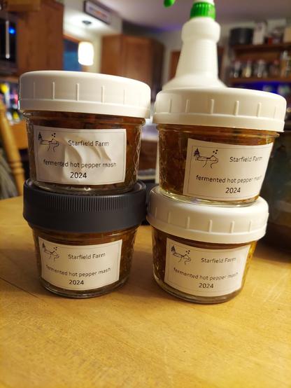 Four 4 oz canning jars with fermented pepper mash. Labels read: 

Starfield Farm 
Fermented hot pepper mash
2024