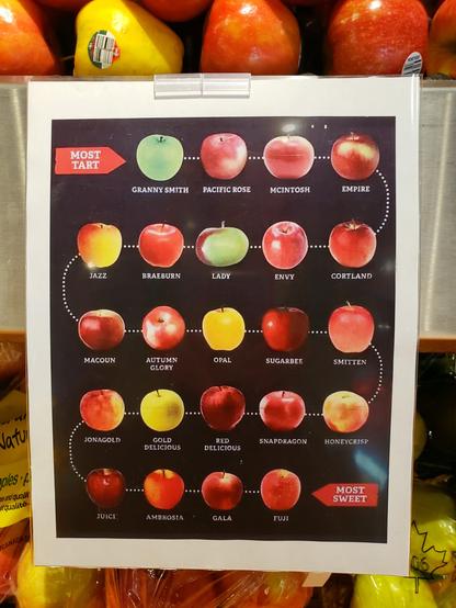 An s chart of apples starting from most tart to most sweet: Granny Smith, Pacific Rose, McIntosh, Empire, Cortland, Envy, Lady, Braeburn, Jazz, Macoun, Autumn Glory, Opal,  Sugarbee, Smitten, Honeycrisp, Snapdragon, Red Delicious, Gold Delicious, Jonagold, Juici, Ambrosia, Gala, Fuji.