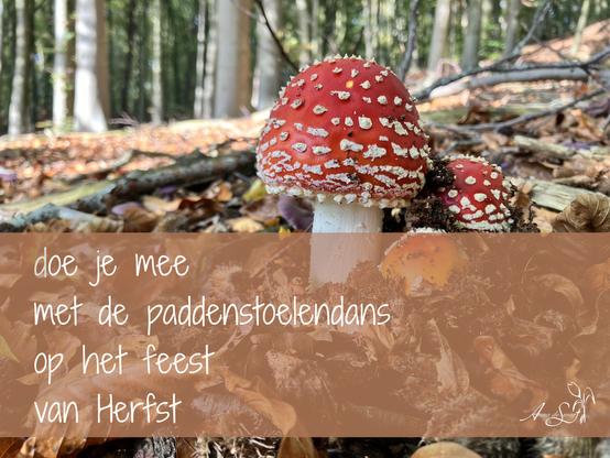 Red and white fungi and a poem (originally in Dutch) by Anna de Swart:
will you join
in the mushroom dance
at the party 
of Autumn