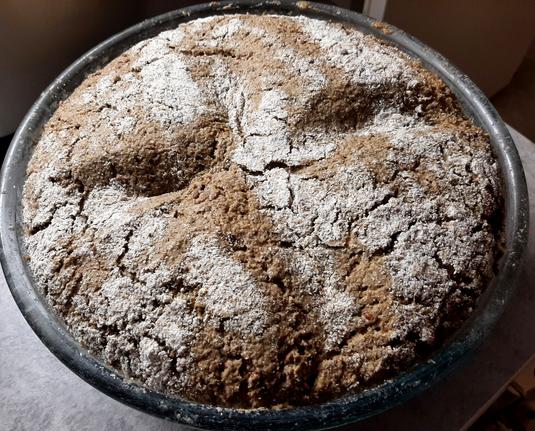 A rye bread dough after it has risen in a bowl. The cross pressed on top with the  has almost completely disappeared which indicates it is ready for shaping.
