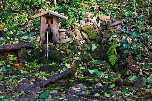 Detail studánky U Božího Kříže. Dřevěný domeček, kolem naskládané kameny, vše zapadáno listím