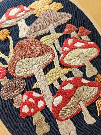 Close up photo of an oval embroidery hoop containing a mushroom themed design, depicting a diverse array of fungi on a navy blue background.
