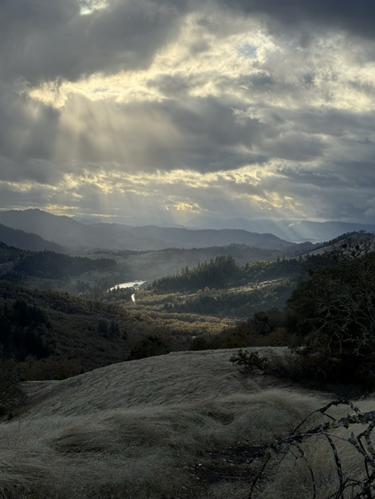View of North Bank Habitat and the Umpqua River.