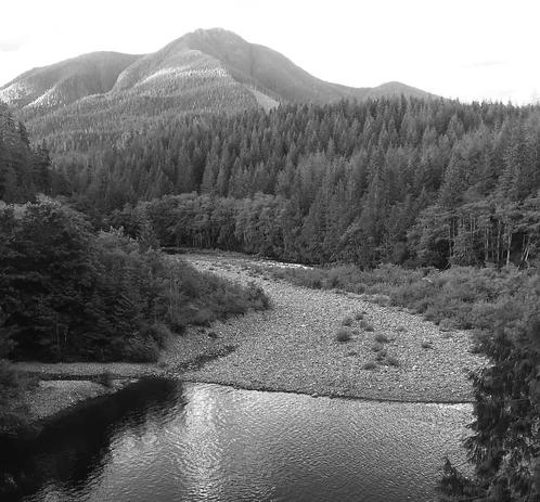 A black and white landscape scene featuring tall mountains in the background, surrounded by dense coniferous forests. A winding river reflects the surroundings in the foreground, with rocky banks and scattered vegetation along the edges.