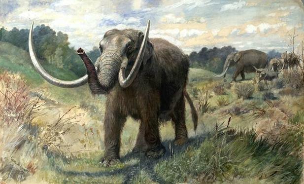 A mastodon elephant in a savannah. In the background is a forest and other mastodons.