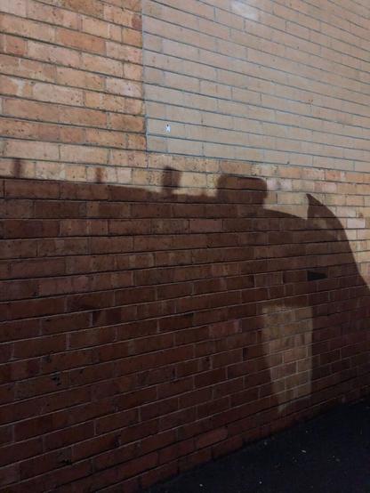 A shadow of a van on a brick wall, lit by anaemic street lighting.