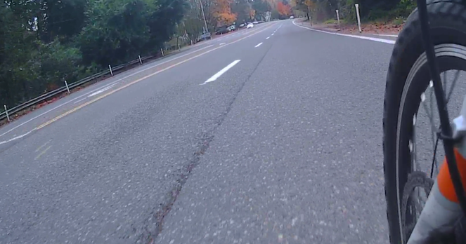 view from outside the "protected" bikeway, which is covered with leaves