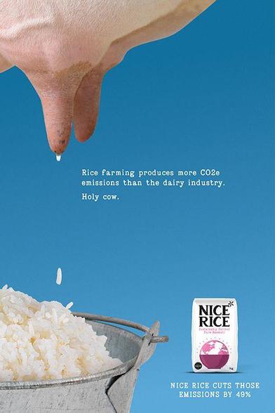 An ad for “Nice Rice” with the backdrop of a cow lactating over a bucket of rice with the caption, “Rice farming produces more CO2e emissions than the dairy industry. How Cow.”