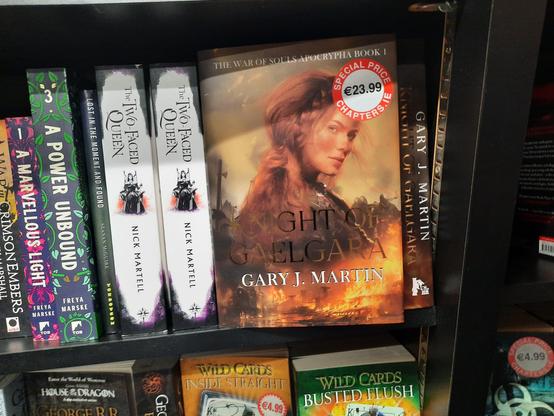 Knight of Gaelgara - Gary J Martin sits on a shelf in Chapters, Dublin. €23.99, hardback.
