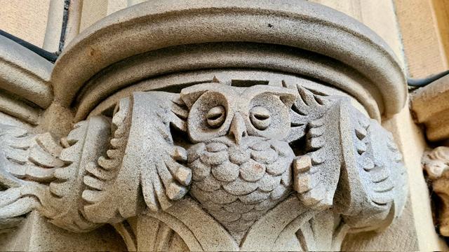 A small sculpted owl nestled in a column capital of a blonde sandstone building.