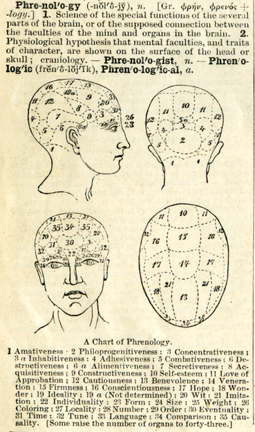 Phrenology diagram, featuring four different drawings of a head, all labelled according to phrenologists. Considered a psuedoscience even when it was introduced in the 19th century.
 From Webster's Academic Dictionary, c. 1895