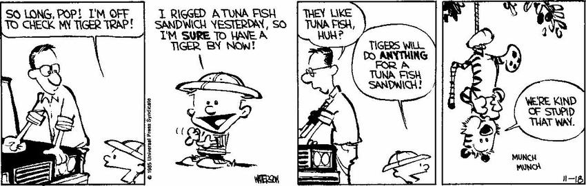 1 - While dad is wiping his car, Calvin, wearing a colonial helmet, tells him "So long, Pop! I'm off to check my tiger trap!"
2 - Calvin: I rigged a tuna fish sandwich yesterday, so I'm sure to have a tiger by now!
3 - Dad: They like tuna fish, huh?
Calvin: Tigers will do anything for a tuna fish sandwich!
4 - Hobbes, tied by a rope upside down in a tree, eating the tuna fish sandwich: "We're kind of stupid that way. - munch munch"