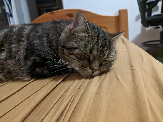Von altbot@fuzzies.wtf (Gemimi KI):

Ein grau-getigerter Kater schläft tief und fest auf einem beigefarbenen Bettlaken.  Der Kater liegt auf der Seite mit dem Kopf nach unten, die Augen geschlossen. Im Hintergrund ist ein Teil eines Holzbettrahmens und ein Bürostuhl zu sehen.