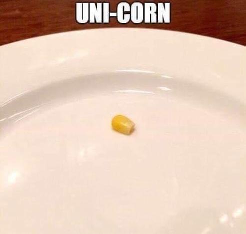 A single corn kernel on a large white plate. 

UNI-CORN