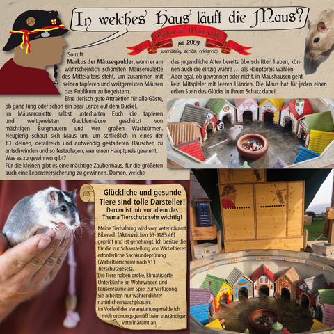 Bewerbung Mäuseroulette Seite 1