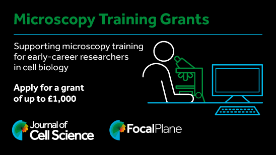 Microscopy Training Grants
Supporting microscopy training for early-career researchers in cell biology
Apply for a grant of up to £1,000
Journal of Cell Science logo FocalPlane logo
Image of a person looking down a microscopy, next to a computer