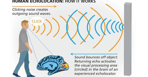 Human Echolocation for Blinds