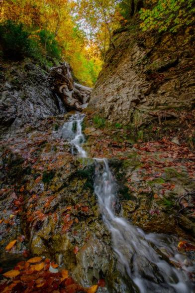 You can see a little line of water falling over a rock wall. At the top there are some trees with Autumn colors. At the bottom there are some leaves.