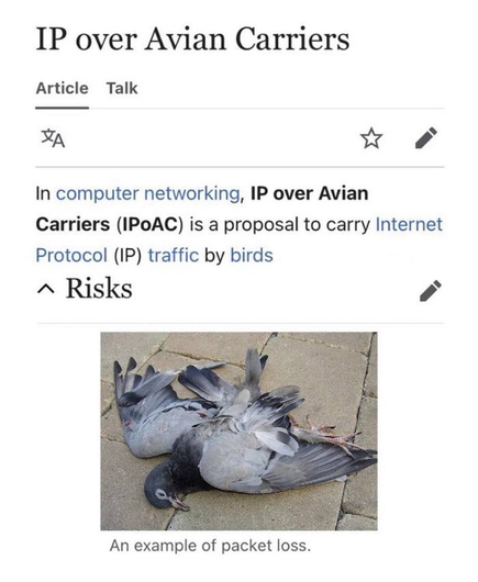 RFC1149 - dropped packets
