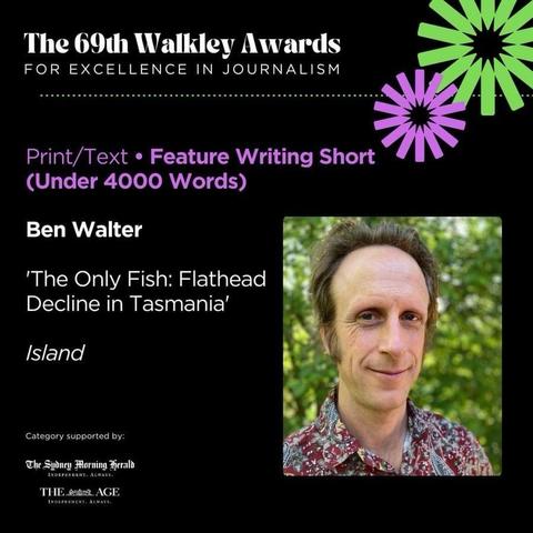 Image of the 69th Walkley Awards announcement featuring Ben Walter, nominated for Feature Writing Short for his piece titled "The Only Fish: Flathead Decline in Tasmania." The design includes a portrait of Walter and vibrant graphic elements.