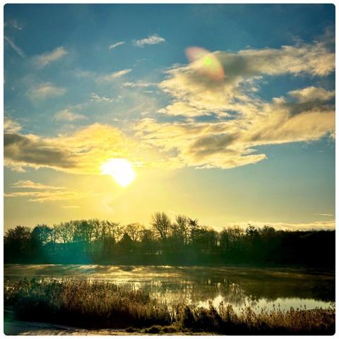 Sunrise across a lake, a line of trees in the background.