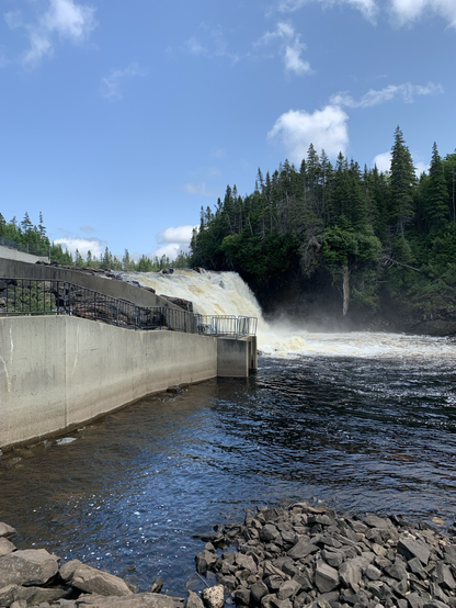 A waterfall on a river with large coniferous trees on one side and a concrete wall and fishway on the other.