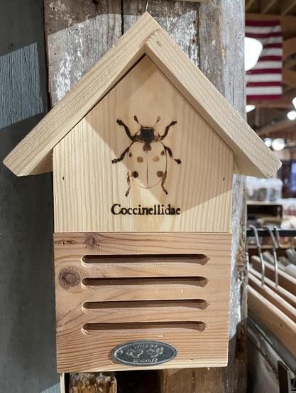 A wooden insect house designed for ladybugs, featuring an engraved illustration of a ladybug and labeled "Coccinellidae." It has a slatted opening for ventilation and is attached to a rustic wooden surface.