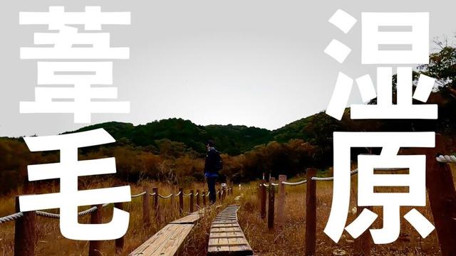 【愛知登山】豊橋市にある花の百名山「葦毛湿原」を歩く【神石山】