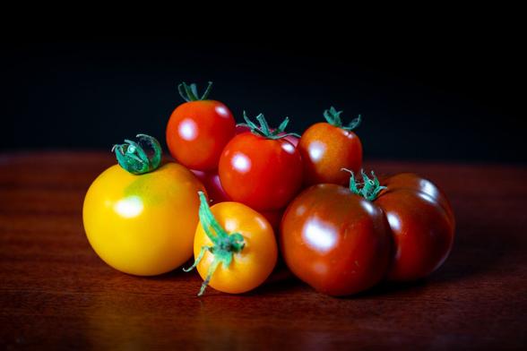 Zwei gelbe, drei rote und zwei dunkelrote Tomaten in unterschiedlicher Größe auf einem Holzuntergrund vor schwarzem Hintergrund, beleuchtet von schräg vorne links.