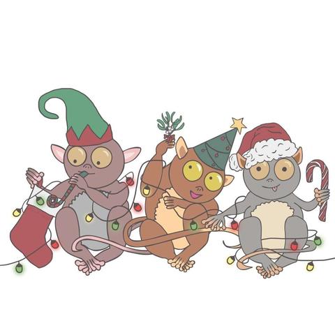 3 tarsiers celebrate chistmas whilst tangled up in christmas lights