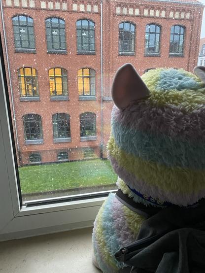 Ein Regenbogen Alpaka welches aus dem Fenster guckt währen es schneit.