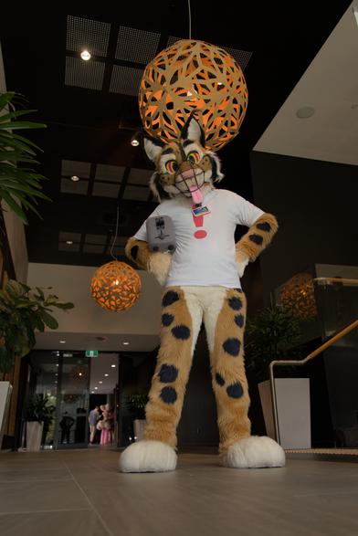 Bubsy standing menacingly