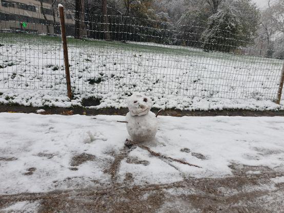Un tout petit mini micro bonhomme de neige devant une pelouse dont l'accès est interdit par un grillage.
