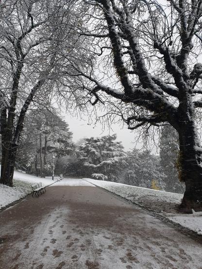 Une allée du parc des Buttes-Chaumont sous la neige. L'allée va tout droit et est encadrée par deux arbres couverts de neige; il y a un peu de neige sur l'allée, où se distinguent des traces de pas; il n'y a pas de neige sous les arbres. Le ciel est blanc et il y a très peu de couleurs.