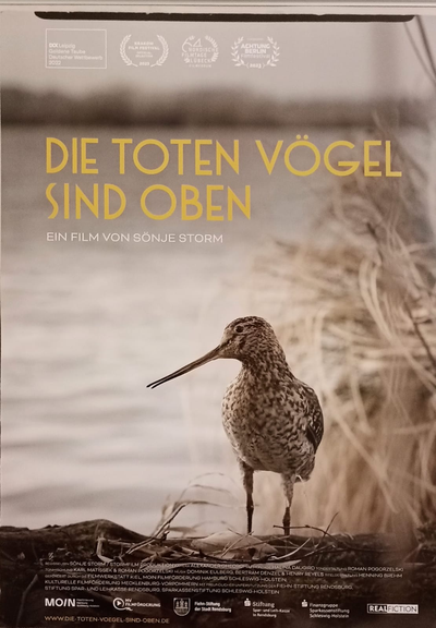Filmplakat zum Film 
zu sehen ist ein Foto eines Vogels mit langem Schnabel. Der Hintergrund ist eine verschwommene Wasserfläche