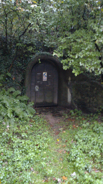 Ein schmaler Torbogen mit senkrechten Wänden als Tunneleingang in einem Hügel im Wald. Er ist mit einer Metallgittertür aus primär quer verlaufenden Streben verschlossen.