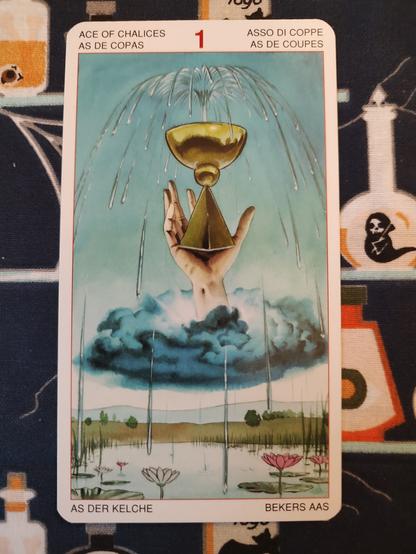 Card from the Initiatory Tarot of the Golden Dawn deck published by Lo Scarabeo.
Ace of Chalices.
A hand emerging from a grey cloud floating above a field and pond. The hand holds up a chalice that is overflowing.