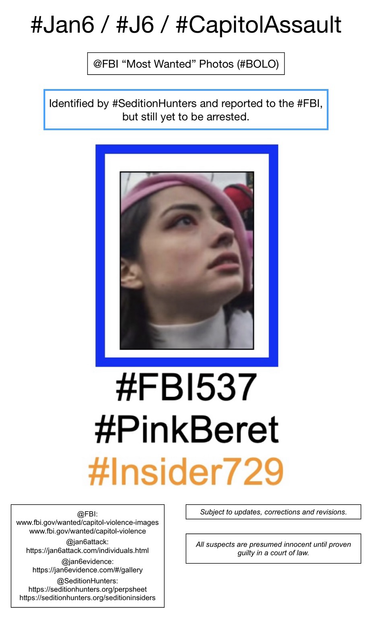 Photo of January 6th riot suspect known to Sedition Hunters as “Pink Beret” (FBI Photo Number Five Hundred Thirty-Seven). Subject to updates, corrections, and revisions. All suspects are presumed innocent until proven guilty in a court of law.