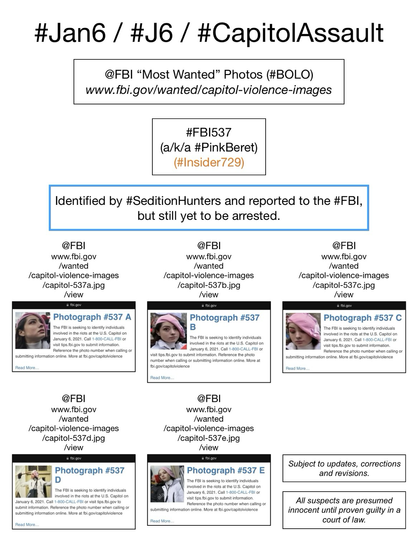 FBI wanted photos of January 6th riot suspect known to Sedition Hunters as “Pink Beret” (FBI Photo Number Five Hundred Thirty-Seven). Subject to updates, corrections, and revisions. All suspects are presumed innocent until proven guilty in a court of law.