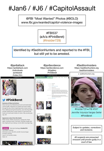 Photos of January 6th riot suspect known to Sedition Hunters as “Pink Beret” (FBI Photo Number Five Hundred Thirty-Seven). Subject to updates, corrections, and revisions. All suspects are presumed innocent until proven guilty in a court of law.