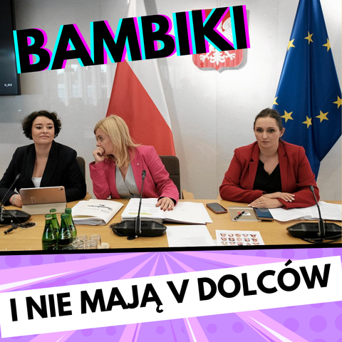 zdjęcie komisji ds aborcji - posłanki żukowska, łoboda, wielichowska

podpis

bambiki i nie mają v-dolców