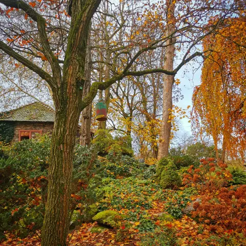 Ein idyllischer Herbstgarten: Ein moosbedeckter Hang, durchzogen von buntem Laub und roten Beerensträuchern, wird von hohen, teils kahl gewordenen Bäumen und einem verwunschen wirkenden Haus mit efeubewachsener Fassade umrahmt. Ein farbig bemaltes Vogelhäuschen hängt in den Zweigen, als kleiner Farbtupfer in der sanften Herbstlandschaft.