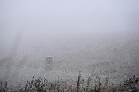 Through the thick veil of snowfall, only faint outlines emerge, transforming the landscape into a canvas of mystery. A lone hunting perch stands quietly, barely visible in the winter haze, like a distant memory. Nature settles into silence, wrapped in the gentle shroud of the season's first snow.