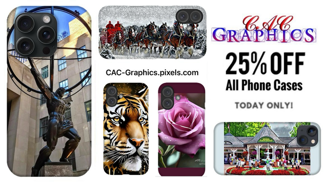 25% OFF All Phone Cases