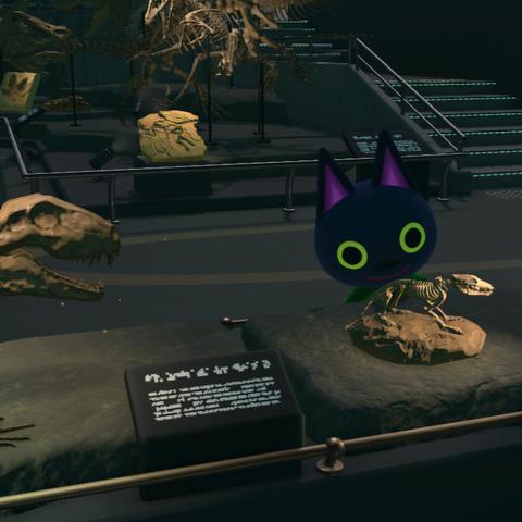 Animal Crossing: New Horizons screenshot. Image shows realistic fossilized skeletons in a museum setting with Kiki (black cat with large yellow eyes) staring at a small animal fossil.