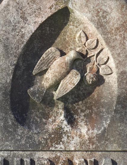 Detail of a 19th century gravestone with a high relief carving of a flying bird and a rose branch.
