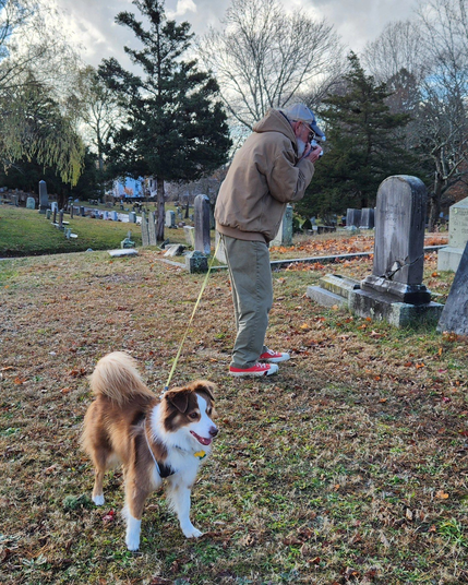 Me, and older male, taking a photo of a gravestone in a cemetery while also tending my handsome little Mini Australian Shepherd.
